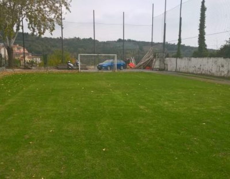 Bardino-soccer-pitch-400x300