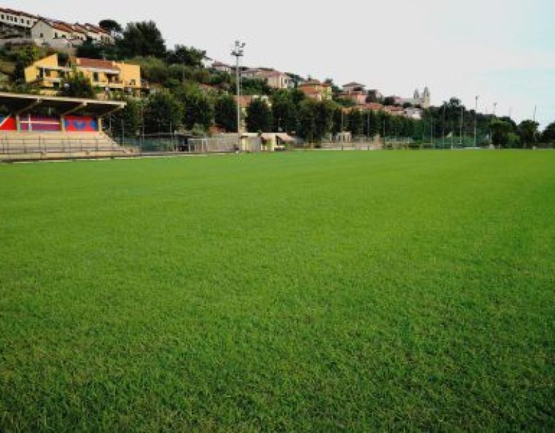 borgio-soccer-pitch-green-400x300